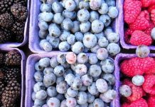 Боровнице успоравају старење