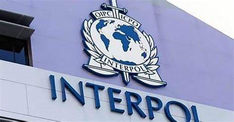 Интерпол