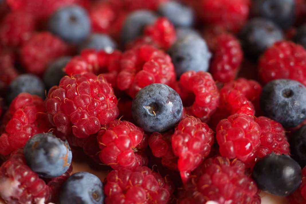 Малине боровнице