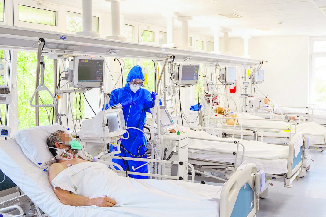 Ковид 19 свет 2